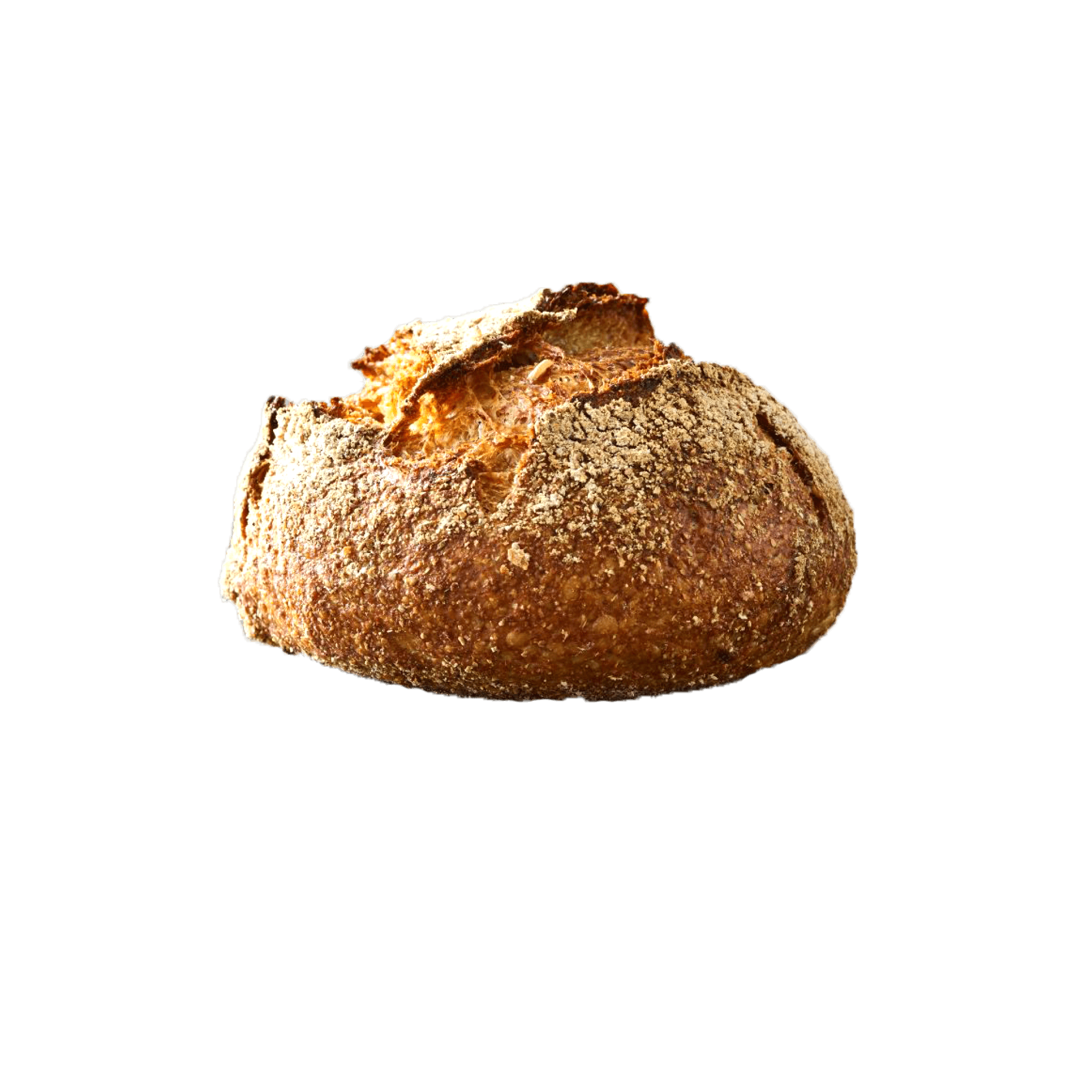 Øko Nørrebro bolle